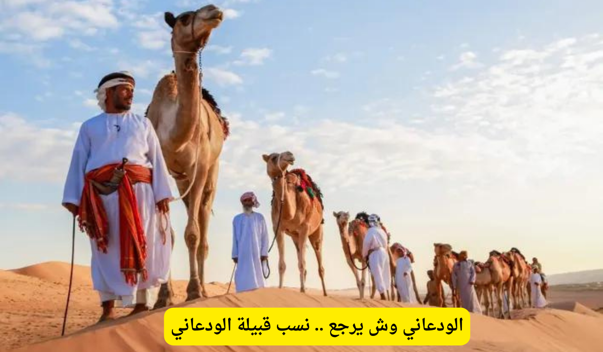 الودعاني وش يرجع